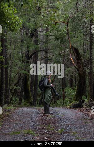 Eine Wanderin, die allein auf einer kleinen Schotterstraße im Wald in der nordkalifornischen Wildnis steht. Stockfoto
