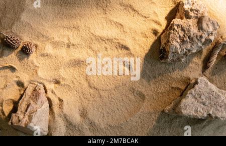 Im Sommer ist die Natur mit Steinrahmen und Sand verziert Stockfoto