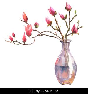 Aquarelle Darstellung eines Magnolienzweigs in einer transparenten Vase auf weißem Hintergrund. Inneneinrichtung. Stockfoto
