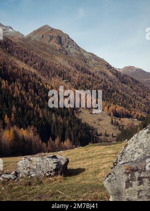 Atemberaubende Drohnenaufnahmen eines alpinen Tals im Herbst mit bunten Bäumen und Fluss, der auf dem Talboden fließt. Stockfoto