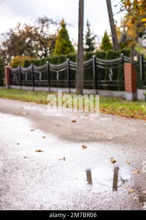 Eine Wasserpfütze mit Blättern auf der Straße - Gras und ein Zaun im Hintergrund. Der Begriff des Spiegelbildes eines Elektropols Stockfoto