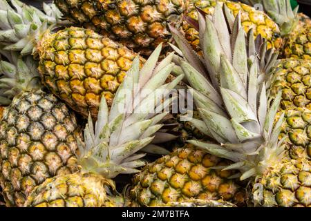 Goiania, Goiás, Brasilien – 08. Januar 2023: Mehrere Ananas arrangiert, zum Verkauf auf einer Messe ausgestellt. Stockfoto