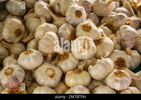 Goiania, Goiás, Brasilien – 08. Januar 2023: Verschiedene Knoblauchsorten arrangiert, zum Verkauf auf einer Messe. Stockfoto