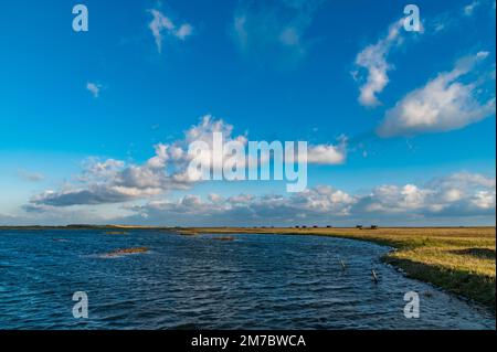 Saltmarsch, blauer Himmel und Wolken im Rye Harbour Nature Reserve Stockfoto