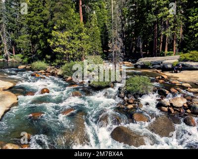 Ein Fluss, der durch einen Wald mit Felsen und Bäumen fließt Stockfoto