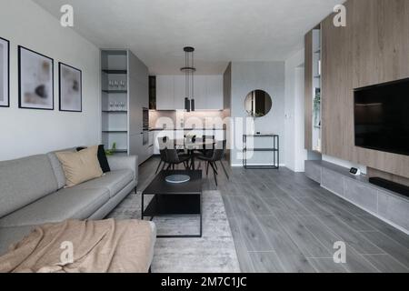 Inneneinrichtung des modernen Appartements - Wohnzimmer verbunden mit Küche Stockfoto