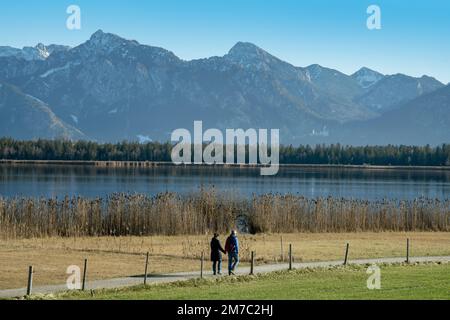 Kinderwagen am Hopfen-See, Schloss Neuschwanstein und die Ammergaualpen im Hintergrund, Deutschland, Bayern, Oberbayern, Oberbayern, Ostallgaeu Stockfoto