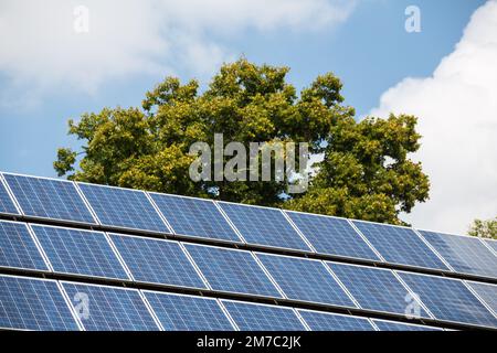 Solarmodule mit Baum, Österreich Stockfoto