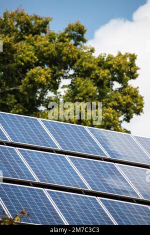 Solarmodule mit Baum, Österreich Stockfoto