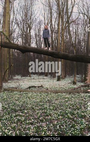 Eine tapfere Frau, die auf einem Baumstamm steht und die malerische Lichtung fotografiert Stockfoto