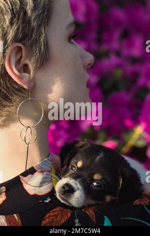 Nahaufnahme des Hundes auf der Schulter einer jungen Frau im Gartenporträtbild Stockfoto