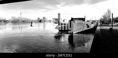 Donau / Wien Stockfoto