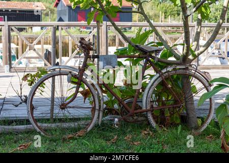 Arcachon Bay, Frankreich. Rostiges Fahrrad als Dekoration für eine Fischerhütte Stockfoto