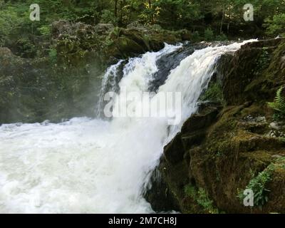 Skelwith Force, River Brathay, Skelwith Bridge, Lake District National Park, Cumbria, England, Großbritannien im Frühling Stockfoto