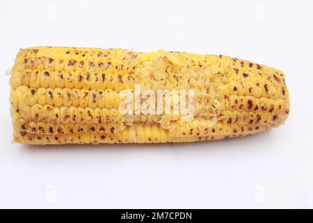 Maiskolben auf weißem Hintergrund Nahaufnahme Stockfoto