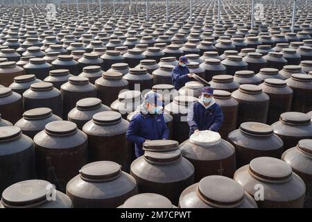 ZHENJIANG, CHIAN - 9. JANUAR 2023 - Arbeiter prüfen die Trocknung von Sojasoße auf der Trockenanlage der Jiangsu Hengshun Group, einer renommierten chinesischen Marke Stockfoto