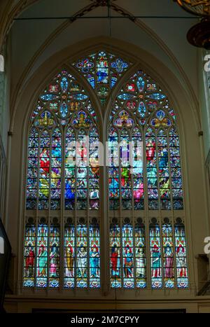 Buntglas mit den Heiligen und den 12 Söhnen Jakobs im unteren Bereich, St. Salvadors Kathedrale Brügge, Belgien. November 2022 Stockfoto