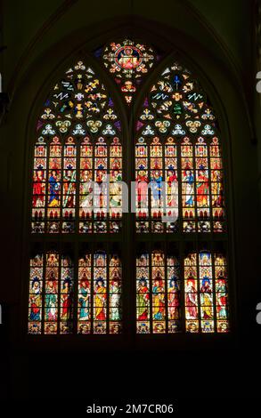 Buntglas mit den 12 Aposteln im oberen Bereich und den 12 Propheten im unteren Bereich, St. Salvadors Kathedrale Brügge, Belgien. Novemb Stockfoto