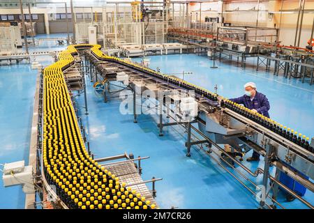 ZHENJIANG, CHIAN - 9. JANUAR 2023 - Arbeiter in einer Werkstatt der Jiangsu Hengshun Group, eines renommierten chinesischen Markenunternehmens, produzieren Saucen und Essig Stockfoto