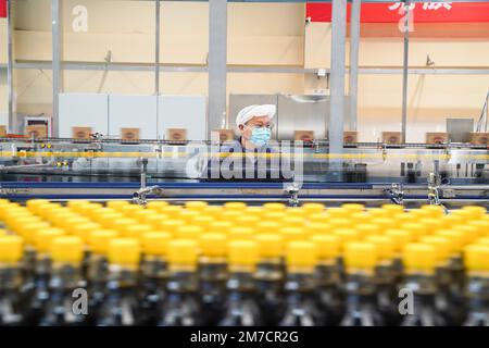 ZHENJIANG, CHIAN - 9. JANUAR 2023 - Arbeiter in einer Werkstatt der Jiangsu Hengshun Group, eines renommierten chinesischen Markenunternehmens, produzieren Saucen und Essig Stockfoto