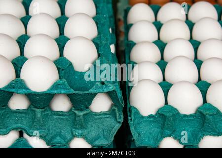 Goiania, Goiás, Brasilien – 08. Januar 2023: Kartonpakete mit weißen Eiern zum Verkauf auf der Messe. Stockfoto