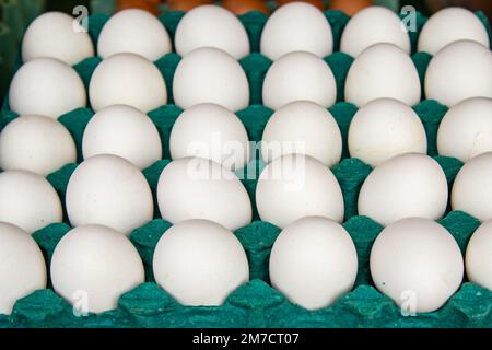 Goiania, Goiás, Brasilien – 08. Januar 2023: Kartonpakete mit weißen Eiern zum Verkauf auf der Messe. Stockfoto