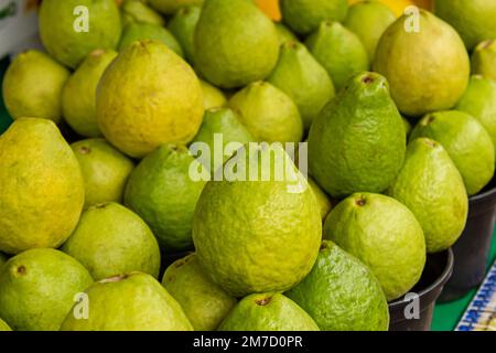 Goiania, Goiás, Brasilien – 08. Januar 2023: Eine große Gruppe von Guaven, die auf einer Messe zum Verkauf angeboten werden. Stockfoto
