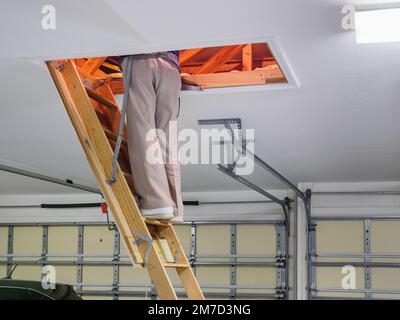 Ein Mann, der den Dachboden inspiziert. Männlicher Hauseigentümer, der eine hölzerne, herunterziehbare Treppe hochklettert. Stockfoto