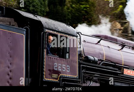 Live-Dampf auf der Dart Valley Railway mit Motorenfahrer Stockfoto