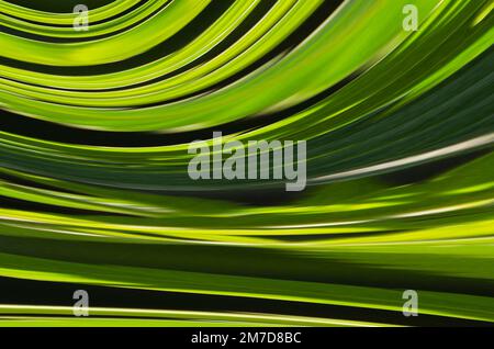 Farbenfrohes Wellenmuster für Hintergründe 13 Stockfoto