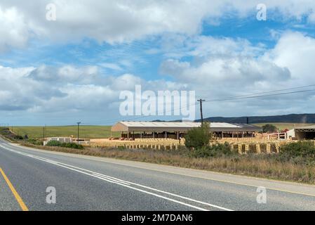 Bredasdorp, Südafrika - 23. September 2022: Eine Backsteinfabrik zwischen Bredasdorp und Napier in der Provinz Westkap Stockfoto