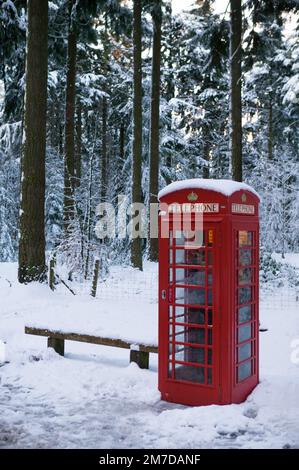 Eine alte britische rote Telefonzelle steht allein in einer verschneiten Landschaft. Oft gesehen als traditionellen und symbolischen Bild von der britischen Lebensart, der öffentliche Aufruf Box ist umgeben von Schnee beladenen Bäumen und sticht krass vor dem weißen Hintergrund. Stockfoto