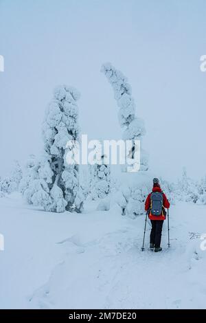 Eine Frau bewundert die Eisskulpturen im Schnee auf einem Winterpfad im Riisitunturi-Nationalpark, Posio, Lappland, Finnland Stockfoto