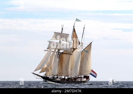 Holländischer Topsegelschoner Oosterschelde, Sail Boston Rennstart, 2017 Stockfoto