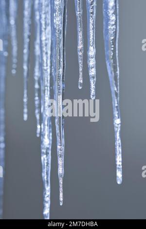 Großen Eiszapfen hängen von einem Haus glitzern im Sonnenlicht wie Juwelen aus Kristall oder Glas Winter. Stockfoto