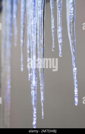 Großen Eiszapfen hängen von einem Haus glitzern im Sonnenlicht wie Juwelen aus Kristall oder Glas Winter. Stockfoto