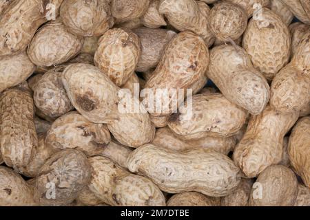 Nahaufnahme der Schalen roher Erdnüsse direkt vom Boden in Studiobeleuchtung. Stockfoto