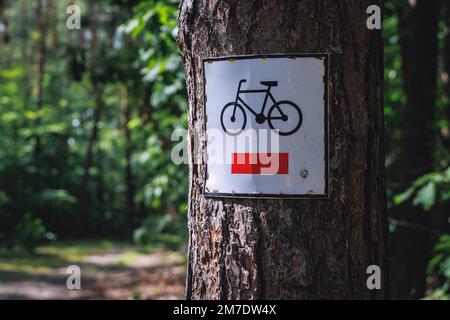 Zeichen eines markierten Fahrradwegs in einem Wald in der polnischen Region Mazowsze Stockfoto