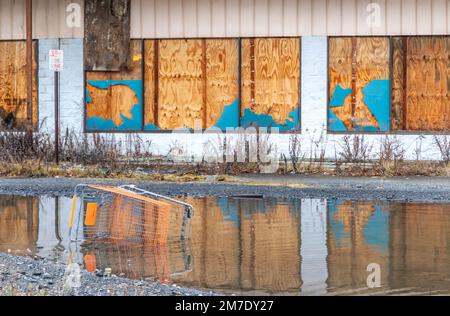 Ein Einkaufswagen in einem Wasserpool vor einem verlassenen Einkaufszentrum Stockfoto