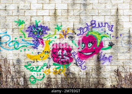 Graffiti an der Seite eines alten Ladengebäudes in Fishkill, NY Stockfoto