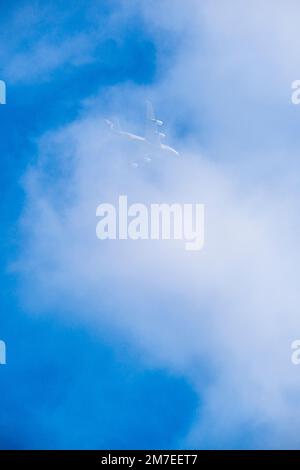 Ein Düsenflugzeug fliegt über den Kopf durch eine Lichtwolke, die hinter der weißen Schicht vor einem blauen Himmel verschwindet. Stockfoto