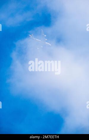 Ein Düsenflugzeug fliegt über den Kopf durch eine Lichtwolke, die hinter der weißen Schicht vor einem blauen Himmel verschwindet. Stockfoto