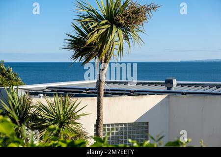 Eine große Palme, die aus einem Garten an der Rückseite eines weiß bemalten Hauses an der Küste wächst, mit einem tiefblauen Sjy und einem Blick auf den Horizont jenseits dessen, wo der Himmel auf das Meer trifft. Stockfoto