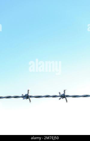 Frostkristalle bedecken Stacheldraht an einem Wintermorgen. Stockfoto