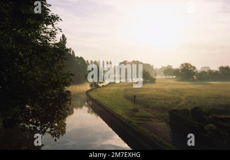Nebeliger Morgen auf der Themse in Abingdon in Oxfordhsire. Stockfoto