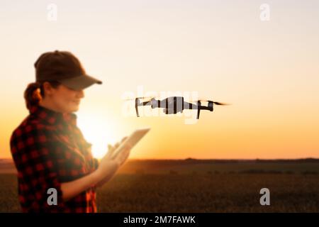 Der Bauer steuert die Drohne mit einem Tablet bei Sonnenuntergang. Intelligente Landwirtschaft und Präzisionslandwirtschaft Stockfoto