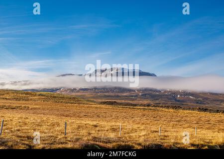 Herbstliche Natur am See Vesturhopsvatn in Nordisland Stockfoto