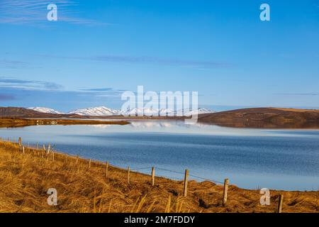 Herbstliche Natur am See Vesturhopsvatn in Nordisland Stockfoto