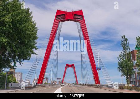 Holland, Rotterdam, Willemsbrug oder William's Bridge, eine 1981 erbaute Kabelbrücke, die den Fluss Nieuwe Maas überspannt und nach König Willem III der Niederlande benannt wurde. Stockfoto