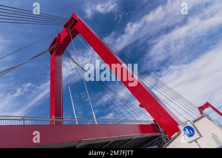 Holland, Rotterdam, Willemsbrug oder William's Bridge, eine 1981 erbaute Kabelbrücke, die den Fluss Nieuwe Maas überspannt und nach König Willem III der Niederlande benannt wurde. Stockfoto